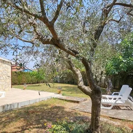 Gasthuis Marlene By Bužinija